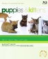 Puppies & Kittens (Blu-ray Movie)