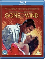 Gone with the Wind (Blu-ray Movie)