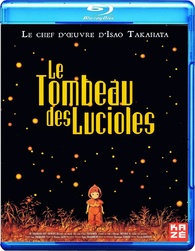 Best Buy: Grave of the Fireflies [Collector's Edition] [DVD] [1988]