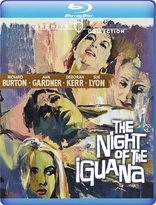 巫山风雨夜 The Night of the Iguana