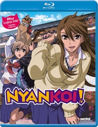 Nyan Koi: Complete Collection [Blu-ray] [Import] rdzdsi3-