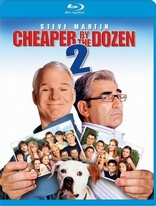 儿女一箩筐2 Cheaper by the Dozen 2