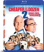 Cheaper by the Dozen 2 (Blu-ray Movie)