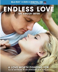Endless Love (1981) / Un amour infini (Bilingual)