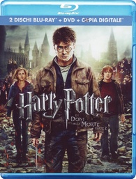 Harry Potter and the Deathly Hallows: Part 2 (Blu-ray)