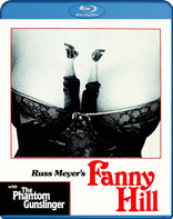 荡女芬妮希尔+幻象枪手 Fanny Hill+The Phantom Gunslinger