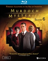 Murdoch Mysteries: Season 6 (Blu-ray Movie)