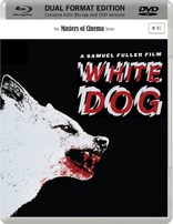 白狗 White Dog
