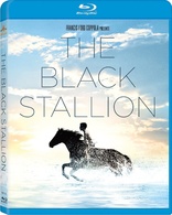 黑神驹/沙漠黑驹 The Black Stallion