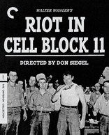 牢狱大暴动 Riot in Cell Block 11
