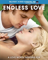 Endless Love Blu-ray (Blu-ray + DVD + Digital HD)