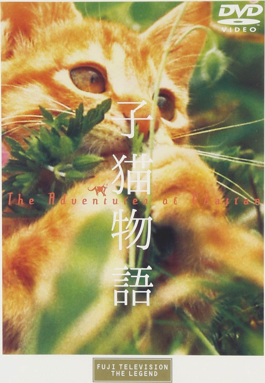 その他 Cat&#39;s Adventures [DVD] 未使用・未開封品)Cat's Adventures [DVD]