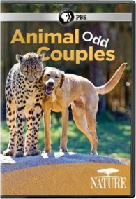 Nature: Animal Odd Couples (DVD)