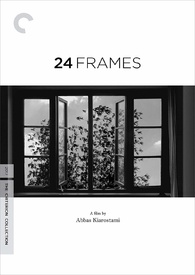 24 Frames DVD (The Criterion Collection)