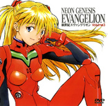 Neon Genesis Evangelion: Archives of Evangelion DVD Box DVD (TV