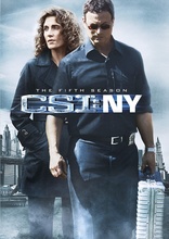 CSI: NY: The Complete Series DVD