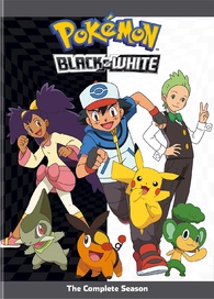 Pokémon: Black & White: Adventures in Unova Fan Casting