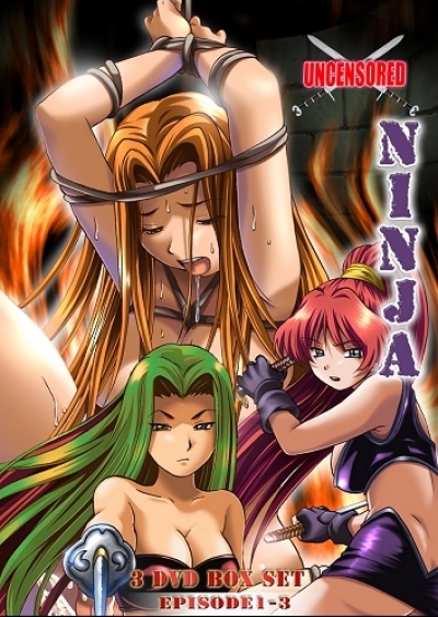 Ninja - 3-DVD Box Set DVD (Episodes 1-3 / Kunoichi Gakuen Ninpouchou)