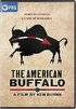 The American Buffalo (DVD)