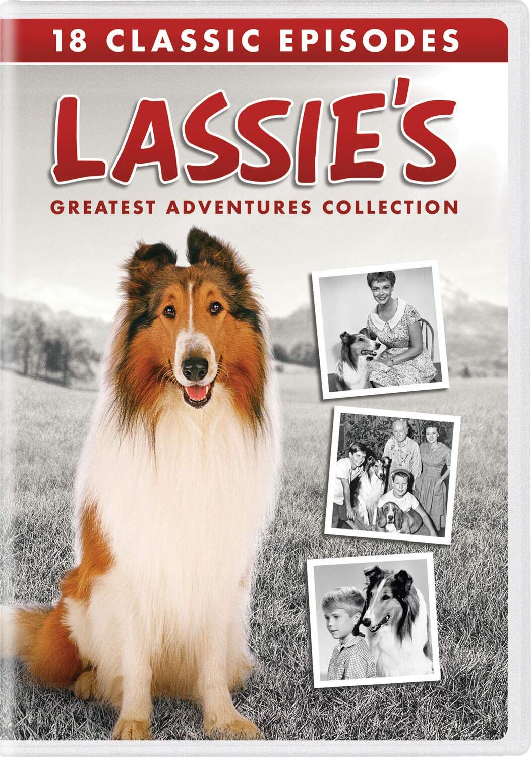 Lassie (1994) French dvd movie cover