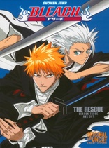 Viz Media Bleach Uncut Set 14 (Eps 206-217) DVD*