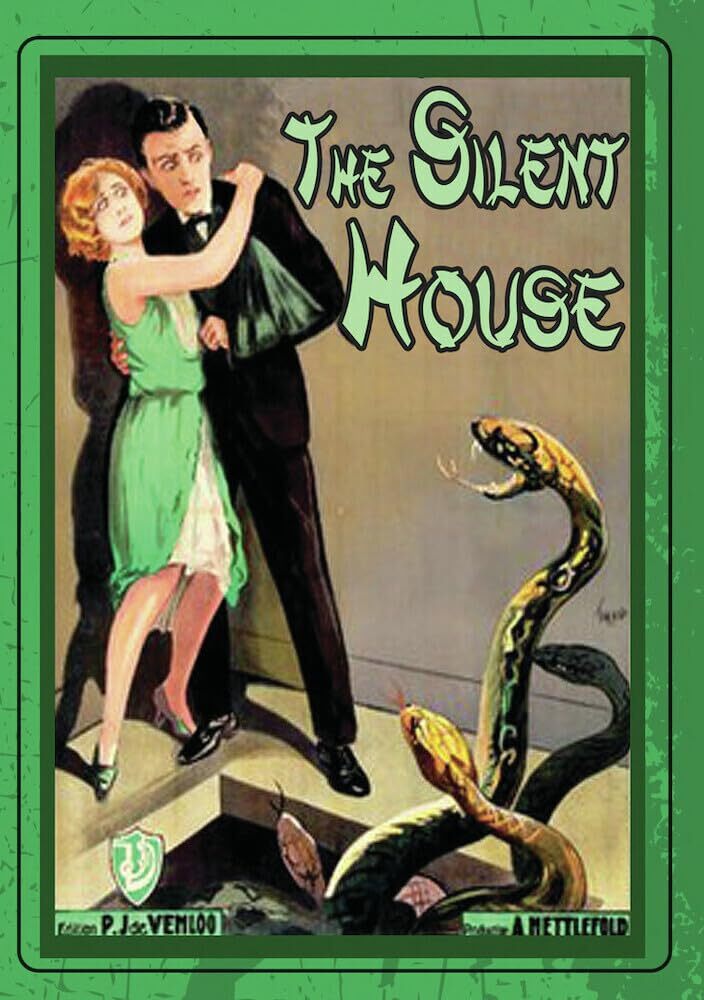 The Silent House DVD (The House of Silence)