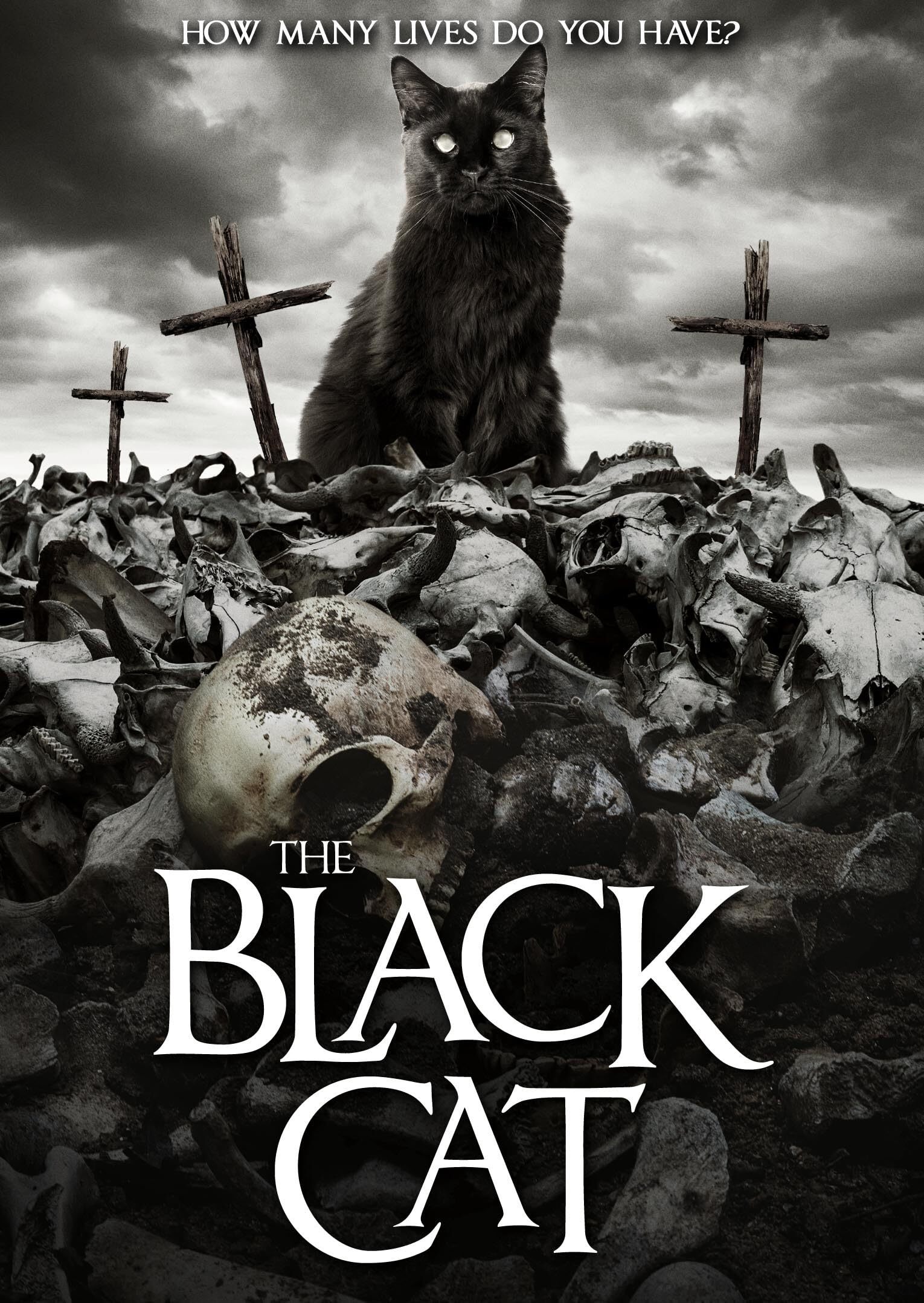 The Black Cat DVD (POE 4: The Black Cat)