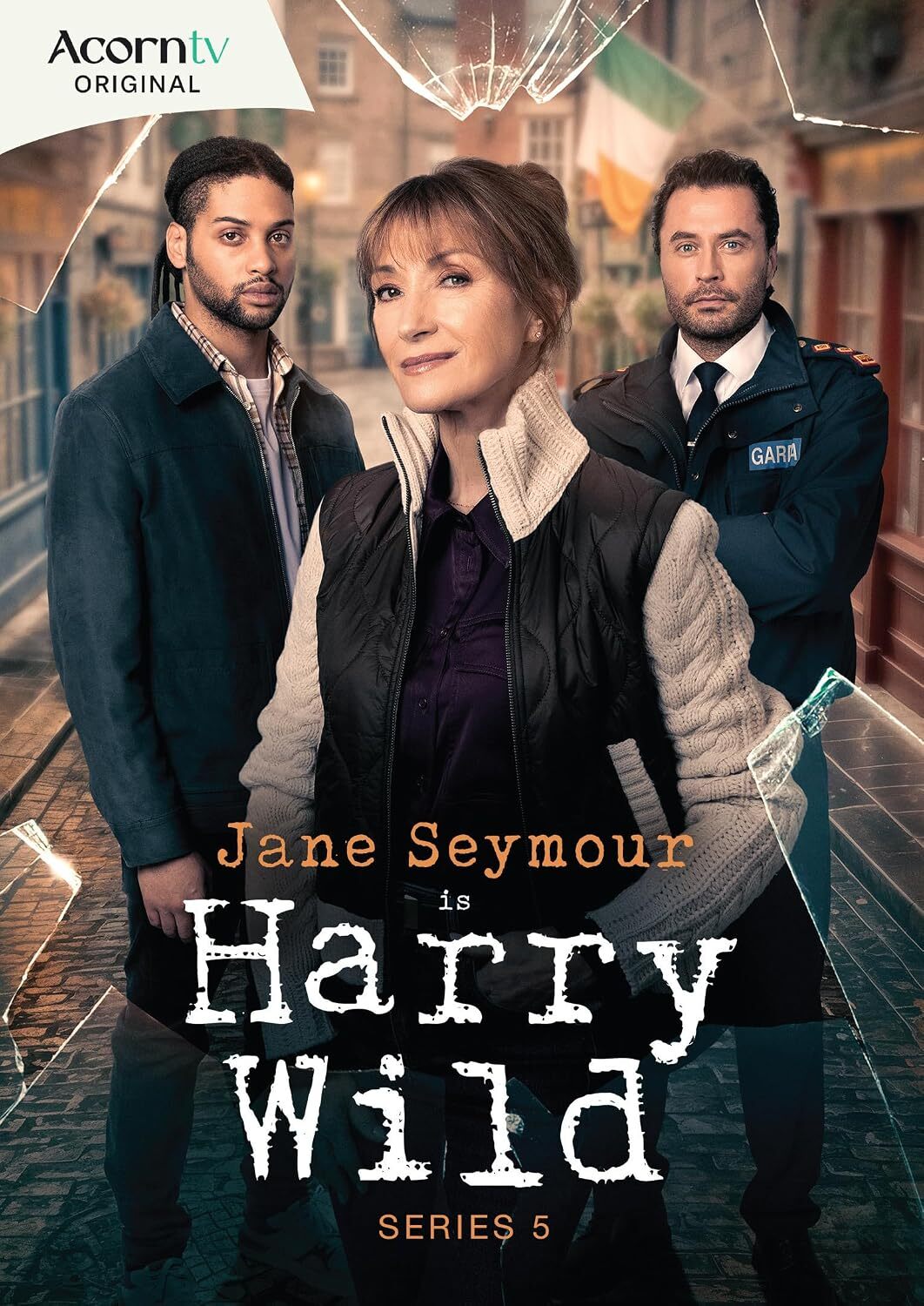 Harry Wild: Series 5 DVD