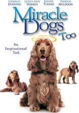 10 Movie Dog Lovers Collection DVD (The Retrievers / Miracle Dogs