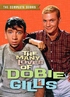 The Many Loves of Dobie Gillis: The Complete Series (DVD)