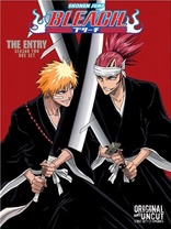 Bleach: Set Fourteen DVD (Episodes 206-217)