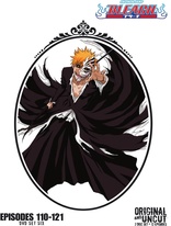 Bleach: Set Fourteen DVD (Episodes 206-217)