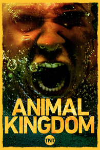 Animal Kingdom: Season 3 Digital