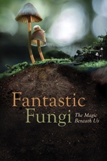 最新入荷 Fantastic Fungi (2019) ミュージック