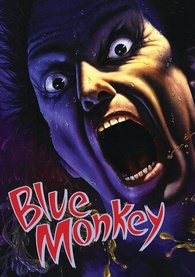 Blue Monkey Digital