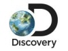 Discovery