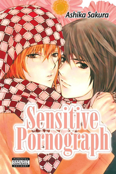 Sensitive Pornograph (2004)