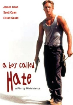 A Boy Called Hate (1995)