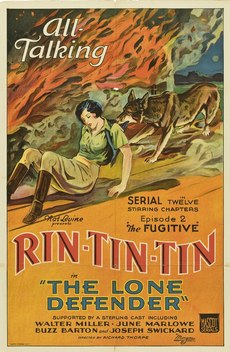The Lone Defender (1930)