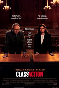 Class Action (1991)