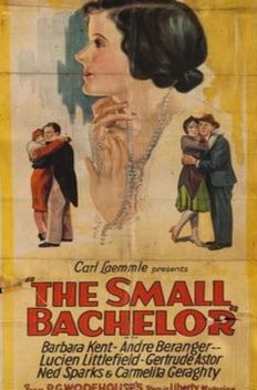 The Small Bachelor (1927)