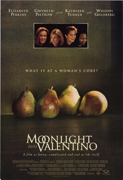 Moonlight and Valentino (1995)