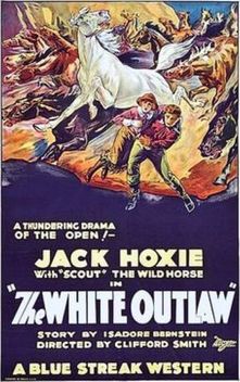 The White Outlaw (1925)