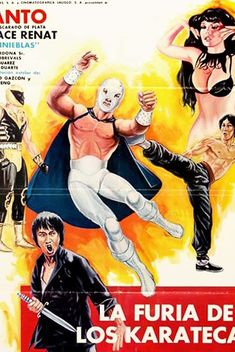 The Fury of the Karate Experts (1982)