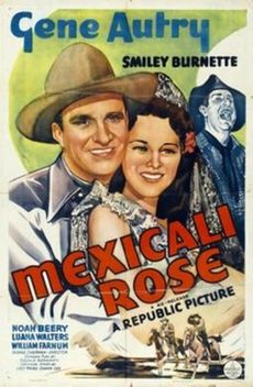 Mexicali Rose (1939)
