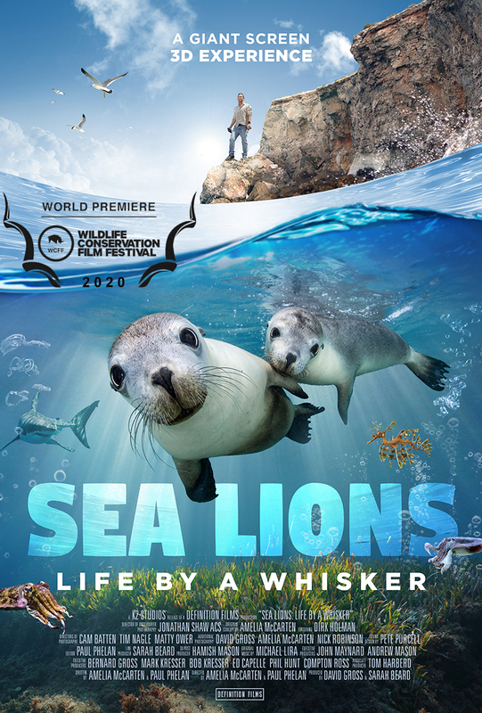 Sea Lions Life by a Whisker (2020)