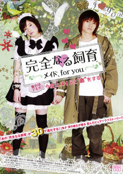 Perfect Education: Maid, for You (2010)