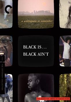 Black Is... Black Ain't (1995)