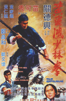 The Skyhawk (1974)