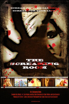 The Screaming Room (2014)